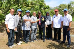 Kebun Mangga Galasari di Gresik akan Jadi Pusat Riset