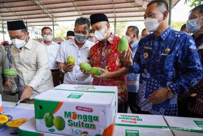 MenkopUKM Lepas Ekspor Mangga Gresik ke Singapura