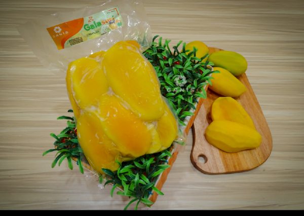 Mengenal 5 Jenis Buah Mangga Hasil Budidaya Galasari