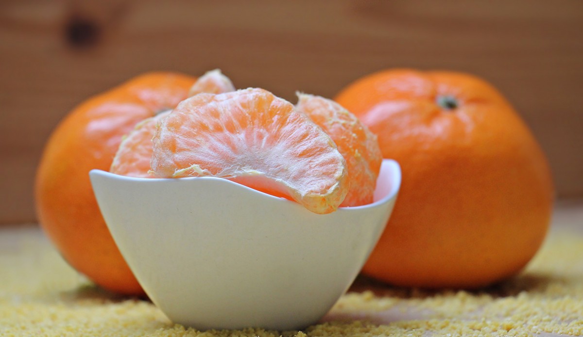 Panduan Cara Menanam Jeruk Mandarin Secara Lengkap